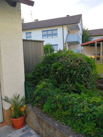 IMG_20170717_202602.jpg