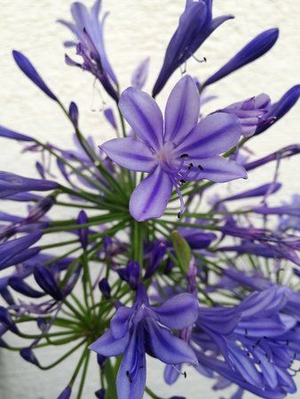 IMG_20170717_202431.jpg