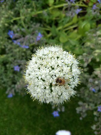 IMG_20170719_195411961.jpg