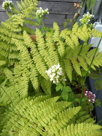 20170719_194139.jpg