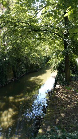 IMG_20170721_151240.jpg