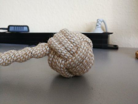 IMG_20170722_101615.jpg