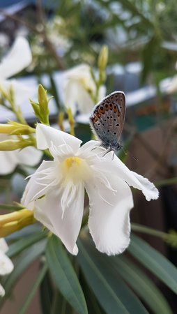 20170725_174504.jpg