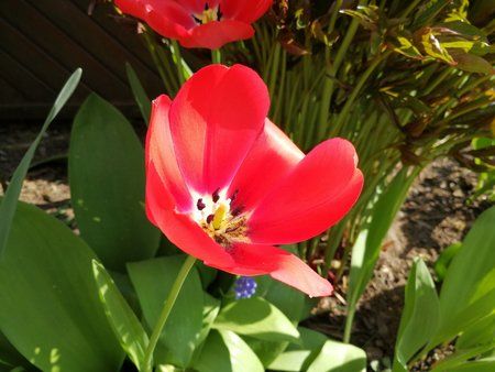 IMG_20170409_155532.jpg