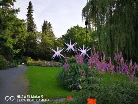 IMG_20170722_182951.jpg