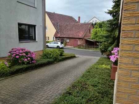 IMG_20170803_065050.jpg