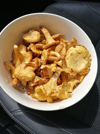 IMG_20170805_133446.jpg