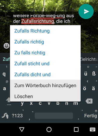 20170729_shot_android_swype.png 20170729_shot_android_swype.png