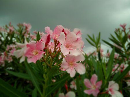 IMG_20170107_102412.jpg