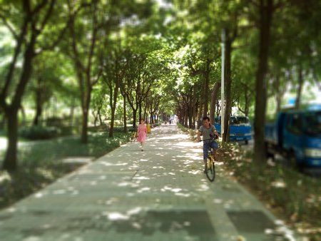 IMG_20170808_050050.jpg
