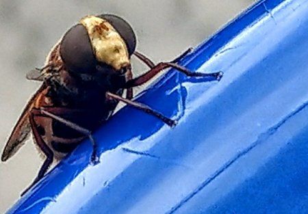 IMG_20170814_170433~2.jpg