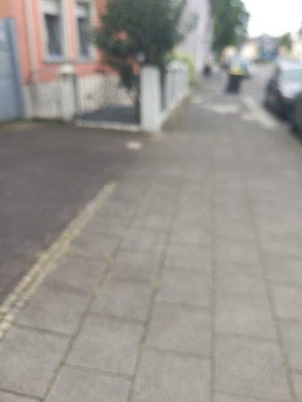 20841738_1914095385513949_7474545633506676375_n.jpg 20841738_1914095385513949_7474545633506676375_n.jpg