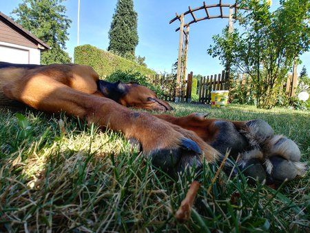 20170621_180605_HDR.jpg
