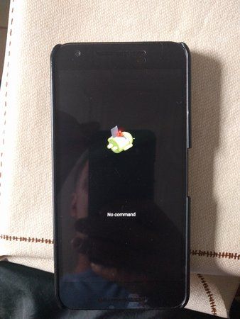 IMG_20170818_114545.jpg