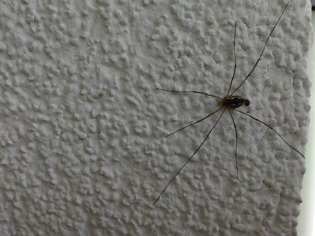 IMG_20170820_112039.jpg