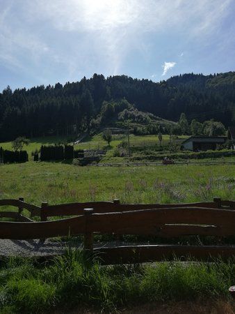IMG_20170821_160116.jpg