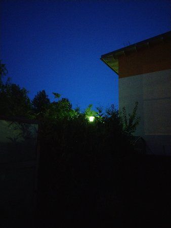 IMAG1292.jpg