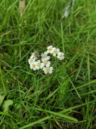 IMG_20170821_171021.jpg