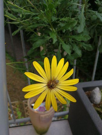 IMG_20170821_192113.jpg
