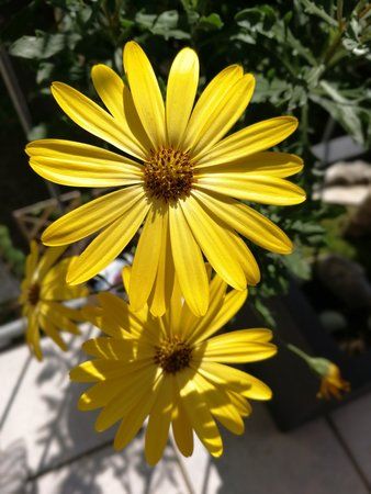 IMG_20170825_131700.jpg