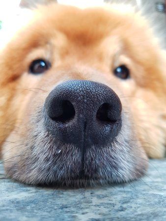 20170824_181630.jpg