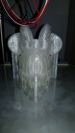 IMG-20170826-WA0008.jpeg