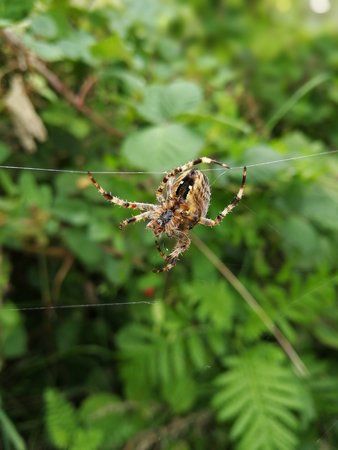 IMG_20170901_160334.jpg