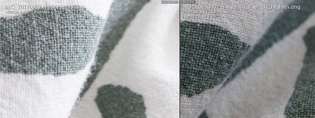 Macro-DNG-X_950.jpg