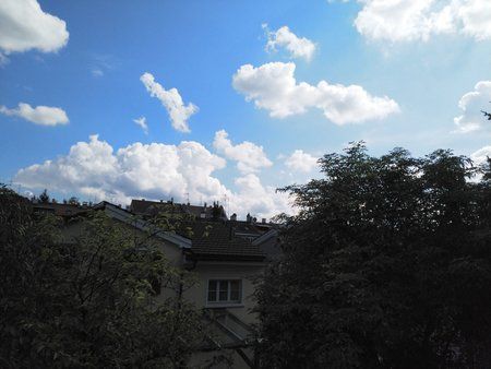 IMG_20170903_150226.jpg