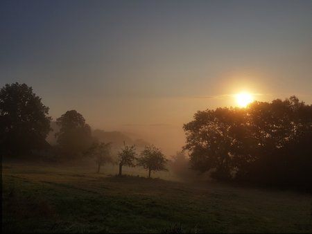 20170903_073534-01.jpg