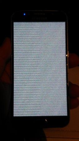 20170903_141558.jpg