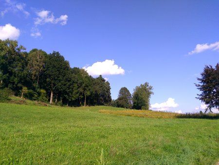 IMG_20170904_171117.jpg