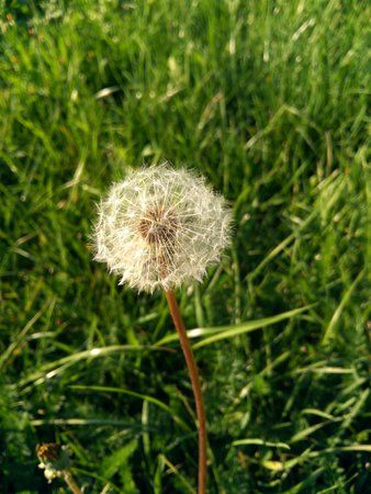 IMG_20170904_175949.jpg
