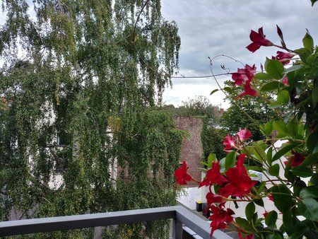 20170905_165804_HDR.jpg