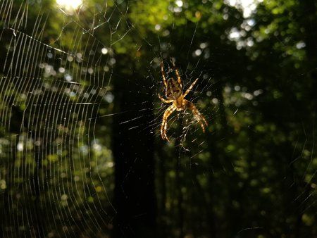 IMG_20170910_150040.jpg