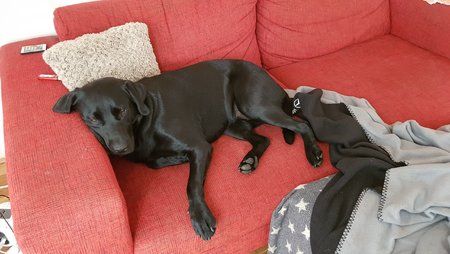 20170912_091630.jpg 20170912_091630.jpg