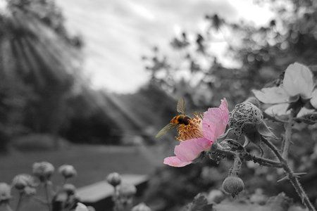 20170625_170348-1.jpg