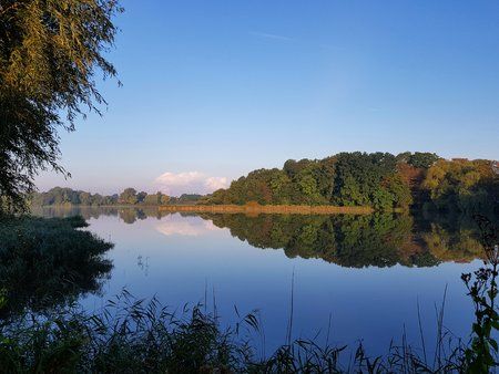 20170918_074943-1.jpg