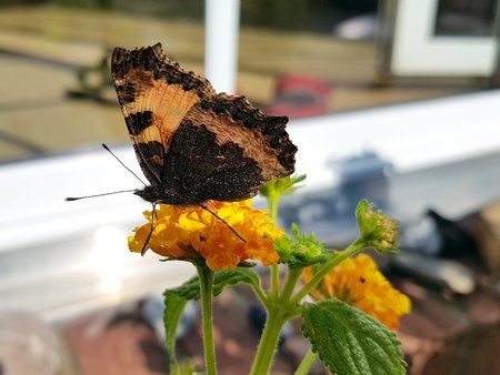 20170917_113003-1.jpg