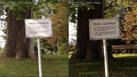 2017-09-21 22_11_35-4Linden-100-JPG_XPro-alt-neu.jpg