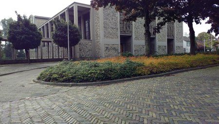 IMG_20170923_114427.jpg