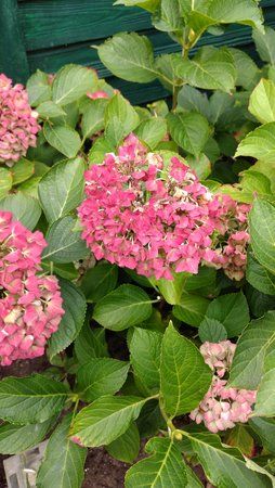 IMG_20170923_120047.jpg