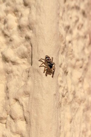 IMG_20170924_161802.jpg