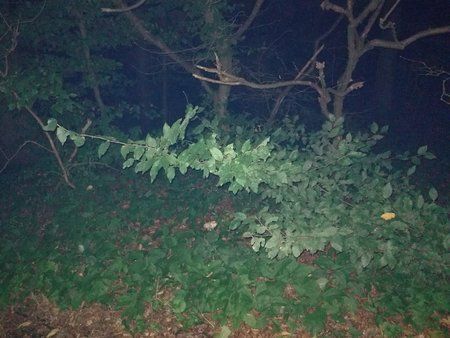 IMG_20170924_205728.jpg