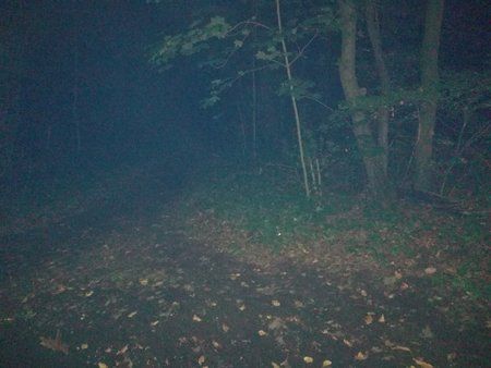 IMG_20170924_205911.jpg