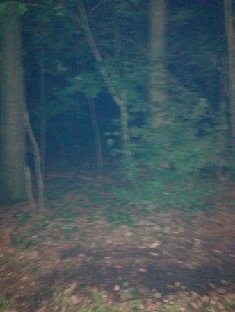 IMG_20170924_210346.jpg