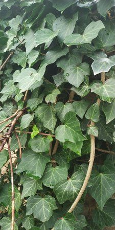 IMG_20170927_112054.jpg