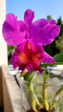 IMG_20170927_103713.jpg