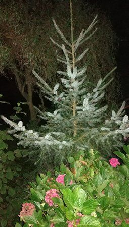 IMG_20170928_224125.jpg