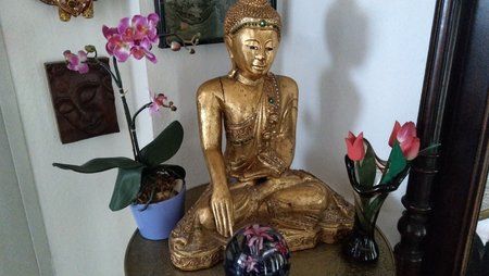 IMAG0238.jpg